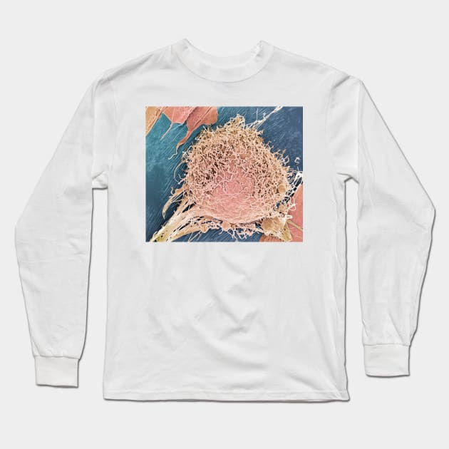 Bone marrow stem cell, SEM (C001/6592) Long Sleeve T-Shirt by SciencePhoto